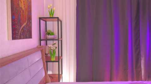 Video of a modern bedroom with a wooden bed, a black metal shelf holding potted plants, and purple curtains. The room has a vibrant, artistic ambiance with abstract wall art.