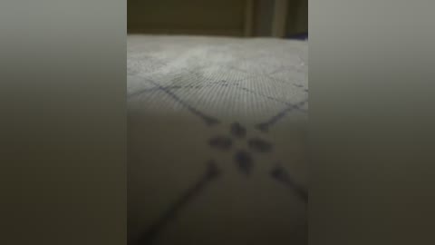 A close-up video of a beige, patterned carpet with diamond and floral designs, featuring a blurry, indistinct background.