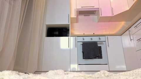 Video of a modern, compact kitchen with white cabinets, stainless steel appliances, and a fluffy white rug. The walls are covered with light-colored curtains, and a gray towel hangs on the oven handle.
