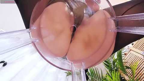 A video of a person's buttocks enclosed in a clear plastic bubble, suspended above a green potted plant and wooden fence.