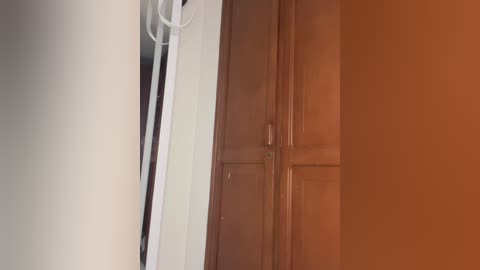 Video of a narrow hallway with a white wall and wooden door on the right, partially obscured by shadows. The left wall is slightly darker, possibly painted in a light grey or beige.