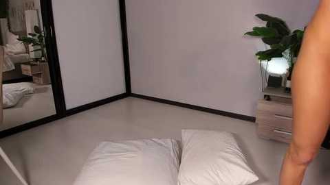 Video of a minimalist, bright bedroom with a large mirror, potted plant, white bedding, and a person's arm partially visible.