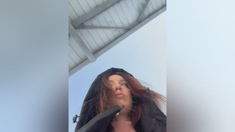 dollytall free recording from 2026-01-27 02:24:00