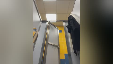 Video of a narrow, brightly lit bathroom with a torn shower curtain and a black coat hanging on a hook. The walls are gray, and the floor has blue and yellow tiles.