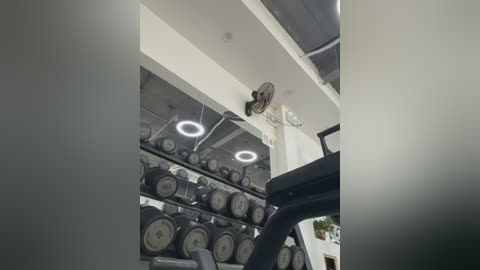 laudingelastase free recording from 2026-01-27 00:27:00