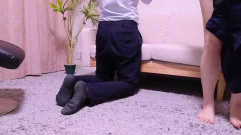 Video of a person in a white shirt and dark pants kneeling on a gray carpeted floor, facing a white couch with a plant in a green pot beside it.