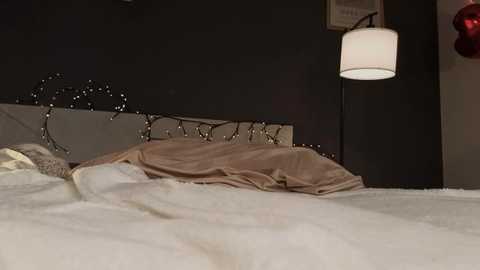 __miray__ free recording from 2026-01-28 00:55:00