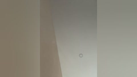 Media: Video of a minimalist interior with a white ceiling and beige wall, featuring a small circular light fixture in the center. The image lacks distinct objects or people, emphasizing a clean, modern aesthetic.