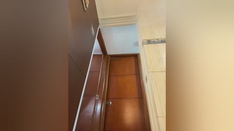 bunny_sexy01 free recording from 2026-01-28 00:01:00