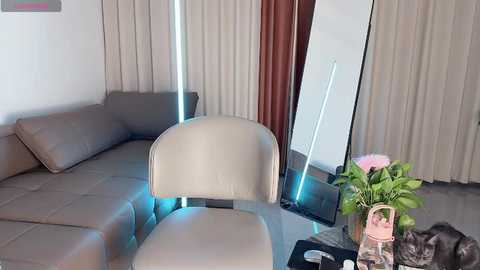 Video of a modern living room with a beige sectional sofa, a cream chair, and a tall mirror, lit by blue LED strip lights. A small black cat sleeps on a black table.