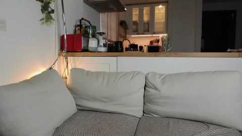Video of a modern living room with a beige sofa, a hanging plant, and a kitchen visible through an open doorway.