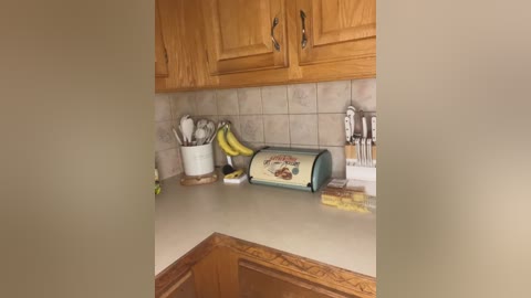 littlemisseeve free recording from 2026-01-28 00:16:00