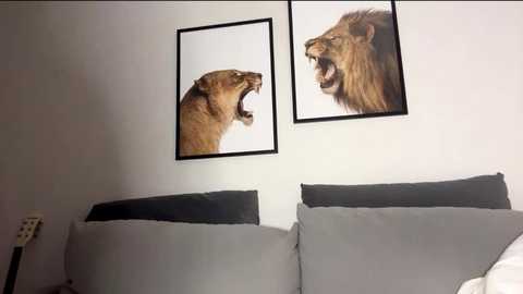Video of a minimalist bedroom with a gray sofa and white walls. Two framed lion portraits hang above, one on the left and one on the right. The lions appear to be roaring.
