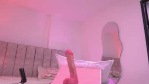 A video of a minimalist bedroom with a large, erect pink dildo on a bed, surrounded by a wall of white pillows and a round mirror.