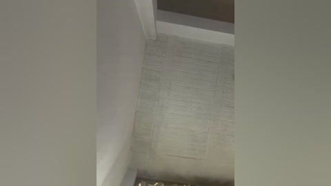 aly_golden_ free recording from 2026-01-29 02:05:00