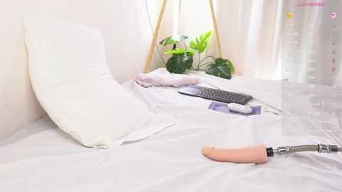 A video of a minimalist, bright bedroom with white bedding, a white pillow, a potted plant, a laptop, a phone, and a flesh-colored dildo on the bed.