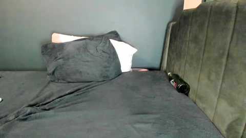 Video of a cluttered, dark green couch with a black blanket, a white pillow, and a bottle of beer on the right side.
