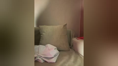 Video of a beige armchair with two cushions, a folded white and pink garment on the seat, and a red item on the right side. The room has beige walls and dim lighting.