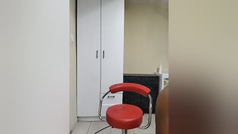 Video of a minimalist, modern bathroom with a red, curved-backed chair against a white wall. A white cabinet with silver handles stands in the background, and a beige wall and dark mosaic tiled countertop complete the scene.