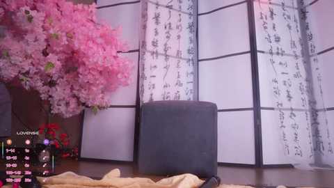 marry_cordy free recording from 2026-01-29 02:05:00