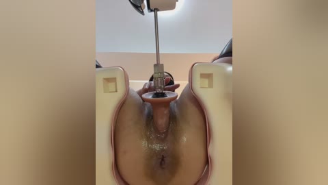 nicole77_baby free recording from 2026-01-29 02:05:00