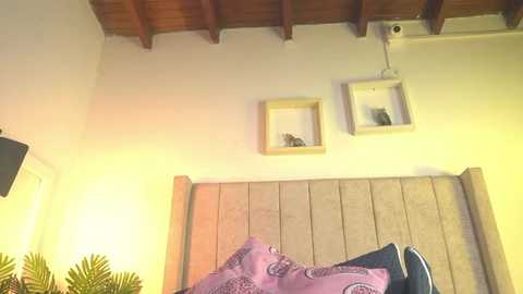 Video of a cozy bedroom with a beige wooden headboard, yellow walls, two square framed pictures, a potted plant, and a colorful bedspread.