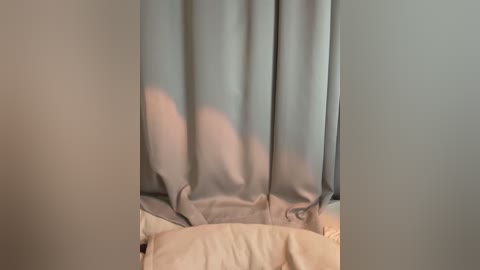 reiningaffaire free recording from 2026-01-29 01:11:00