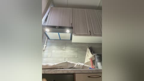 rolldolls free recording from 2026-01-29 02:05:00