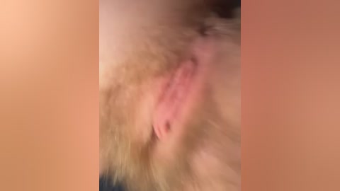 A blurry, close-up video of a partially visible vulva with light skin tone and a sparse patch of light brown hair. The image has a soft focus, making it difficult to discern specific details.