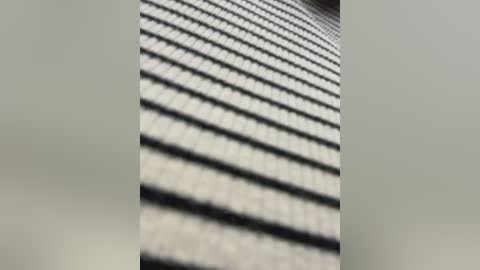 vendimur free recording from 2026-01-29 02:05:00