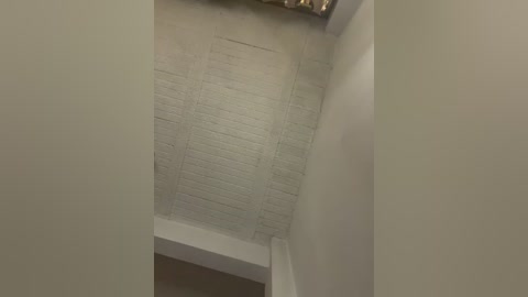 aly_golden_ free recording from 2026-01-30 00:17:00