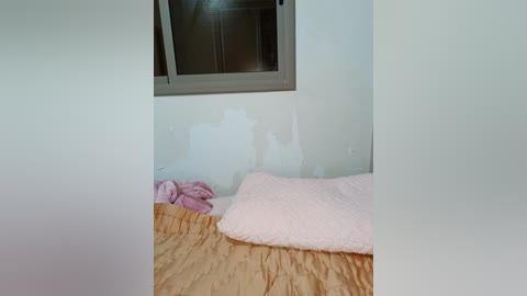 Video of a small, sparsely furnished room with a beige bed, pink pillow, and a brown blanket. A window with a grey frame is partially visible on the wall, and the room has a worn, light-colored wall with peeling paint.