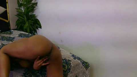 lovelyy_couple free recording from 2026-01-30 00:17:00