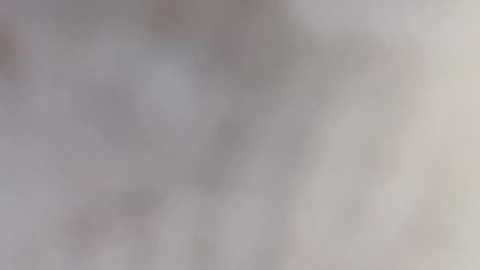 lt_333 free recording from 2026-01-30 00:17:00