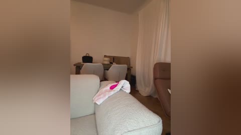 A video shows a dimly lit, sparse living room with beige walls, a light gray sofa, a brown leather armchair, and a white curtain partially drawn. A pink towel is draped over the sofa.