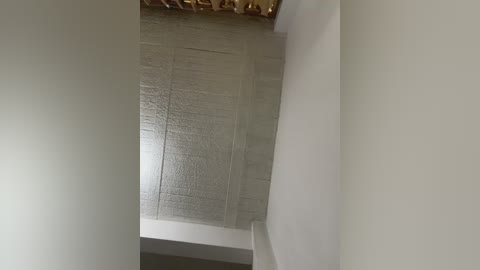 aly_golden_ free recording from 2026-01-31 00:28:00