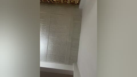 aly_golden_ free recording from 2026-01-31 00:28:00