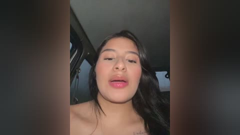A video of a young Asian woman with long black hair, wearing minimal makeup and pink lipstick, captured from the waist up, inside a car.