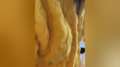 anna_kk free recording from 2026-01-31 00:28:00