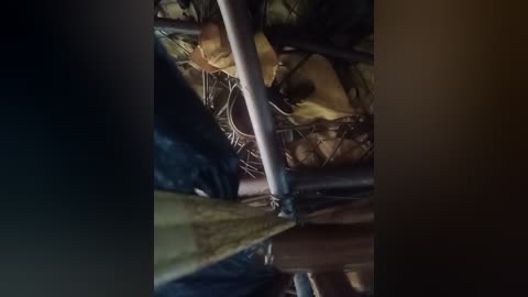 Video of a dimly lit, cluttered room with a bicycle and a wicker basket partially visible. The background is dark and indistinct, with a hint of a wooden floor. The image conveys a sense of chaos and neglect.