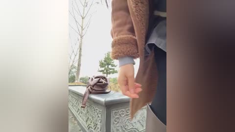 A video captures a person's arm in a brown, fuzzy coat, holding a brown leather bag beside a stone bench with greenery in the background. The image is slightly blurred.