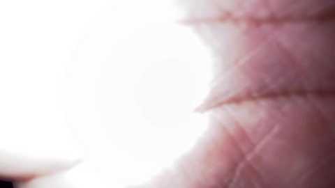 elithee__ass___ free recording from 2026-01-31 00:28:00