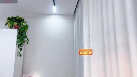 nabi518_ free recording from 2026-01-31 00:28:00