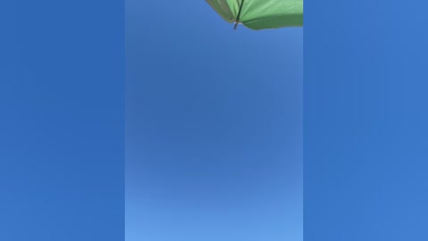 selvaggia_official83 free recording from 2026-01-31 01:35:00