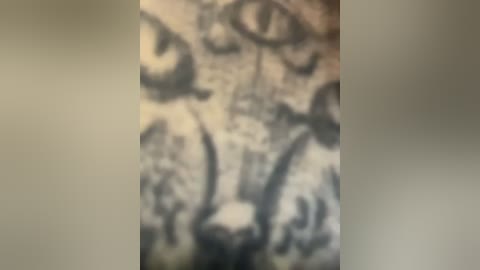 sunny___bunny free recording from 2026-01-31 05:50:00