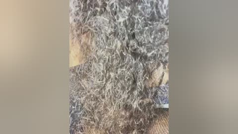 Video of a close-up view of a person's hair, showing a thick, coarse texture with grey and brown strands. The background is blurred, focusing attention on the hair.