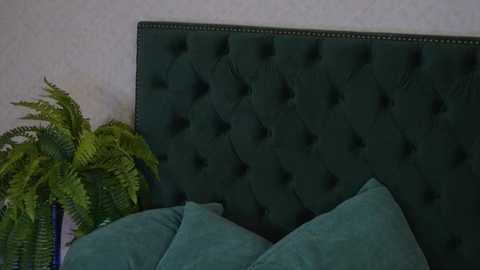 Video of a dark green, tufted velvet headboard with a decorative nailhead trim, set against a plain white wall. A lush, green fern plant in a pot sits on the left, with teal pillows on the bed below.