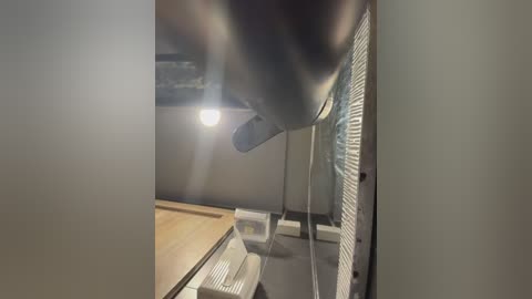 angelinateller free recording from 2026-02-01 00:02:00