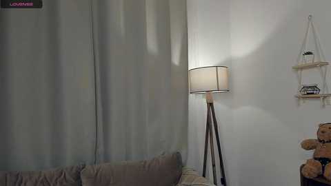 lauremestler free recording from 2026-02-01 00:02:00