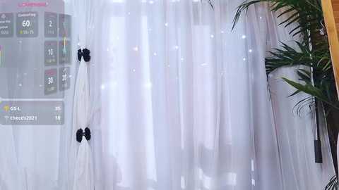 neinei_bao free recording from 2026-02-01 00:02:00